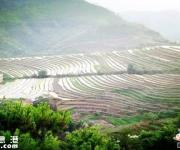 大東坪山梯田旅游區(qū)