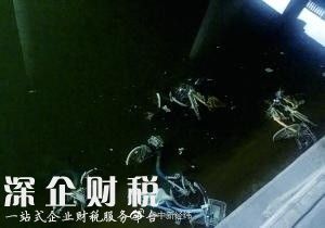 北京一河段放水浮出30余輛共享單車 車身長滿綠毛