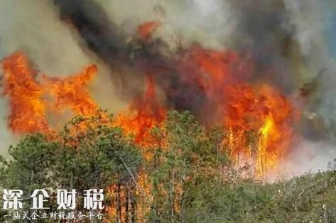 香格里拉市長救火被嚴重燒傷 公務員受傷害誰來賠償