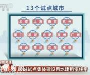 集體建設(shè)用地建租賃住房 購租能否并舉？