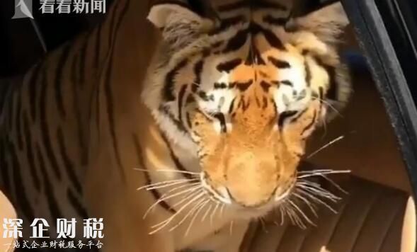 富二代炫富引爭議網(wǎng)上罵聲一片 視頻曝光富二代奢適生活