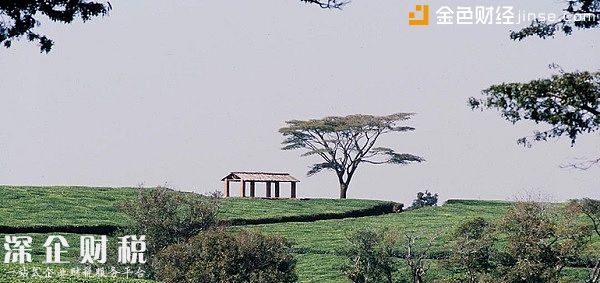聯(lián)合利華為旗下非洲茶葉供應(yīng)鏈推出區(qū)塊鏈試點(diǎn)項(xiàng)目